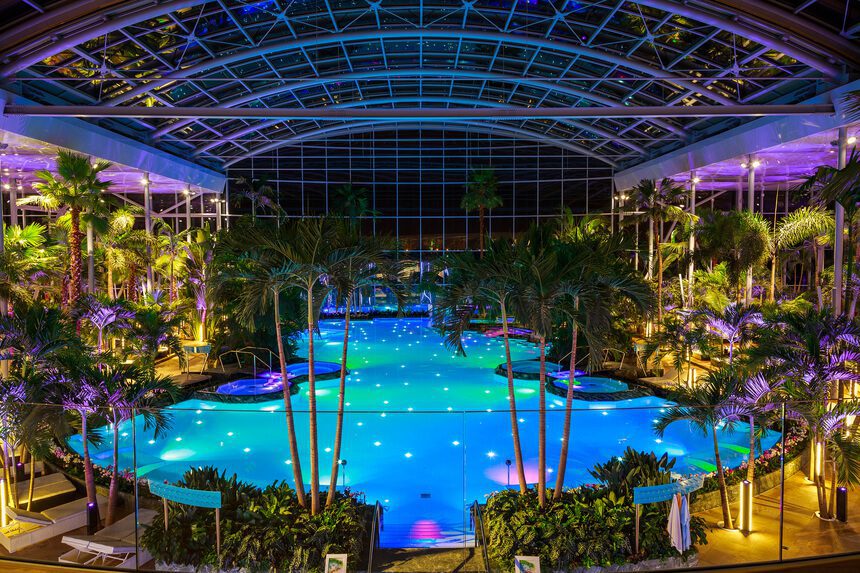 Indoor tropical pool with vibrant lighting, surrounded by palm trees under a glass roof at night.