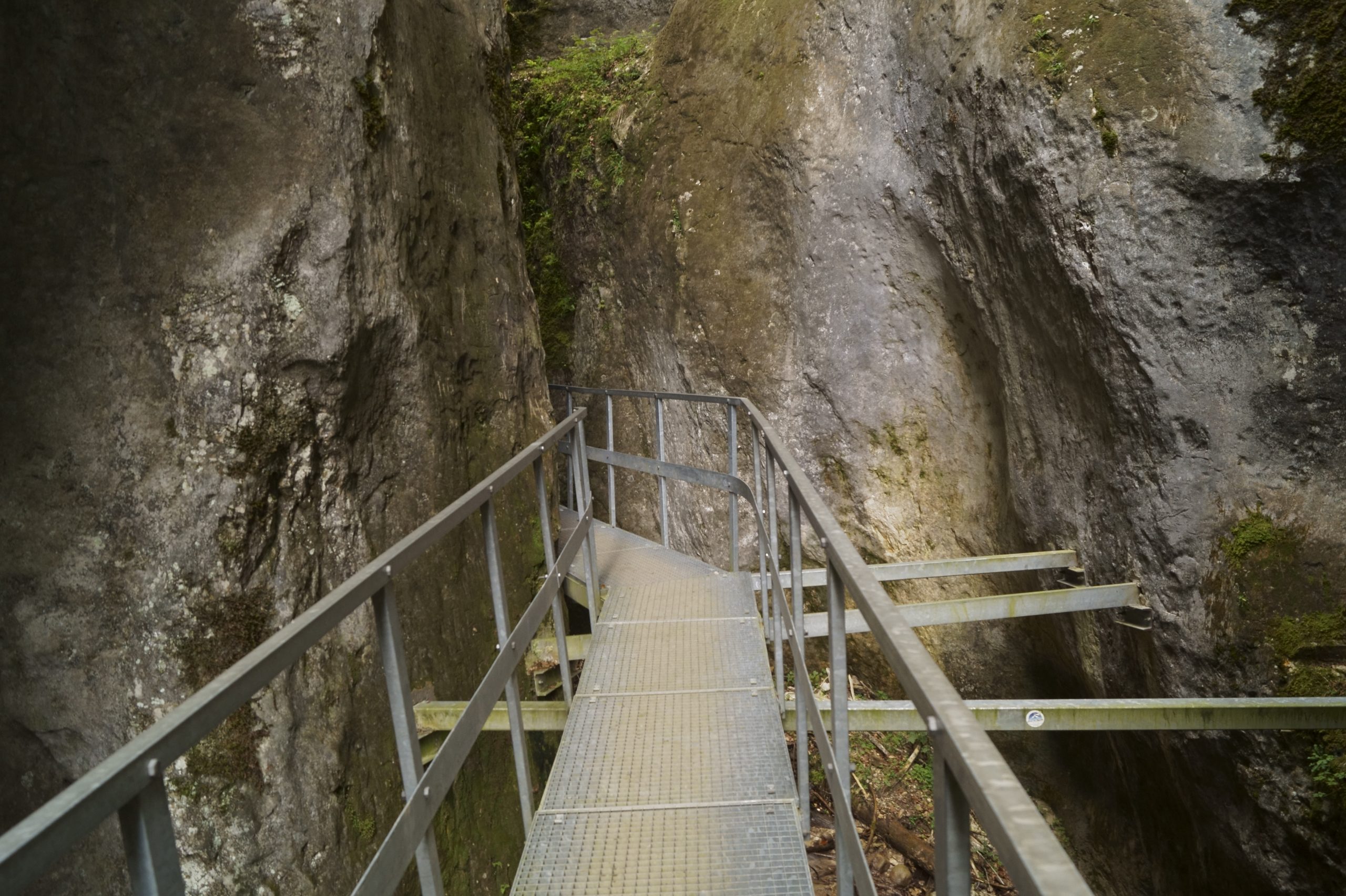 SEVEN LADDERS CANYON TRIP