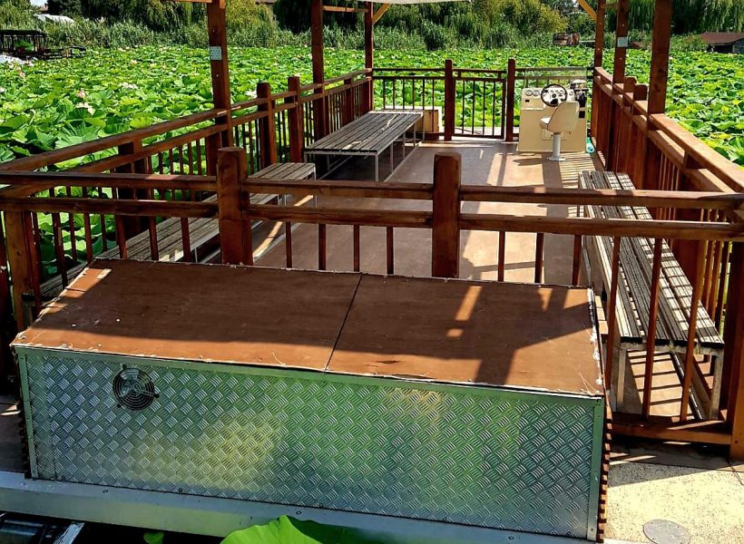 Pontoon boat over water surrounded by greenery and lotus leaves, with benches and shaded canopy above.